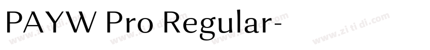 PAYW Pro Regular字体转换 PAYW Pro Regular字体转换